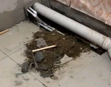 大渡口卫生间漏水检测哪家好