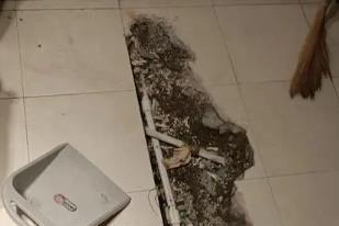 大渡口卫生间漏水检测电话